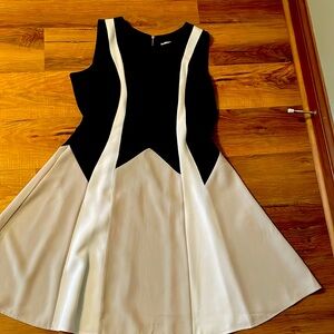 Danny and Nicole Fit & Flare Dress